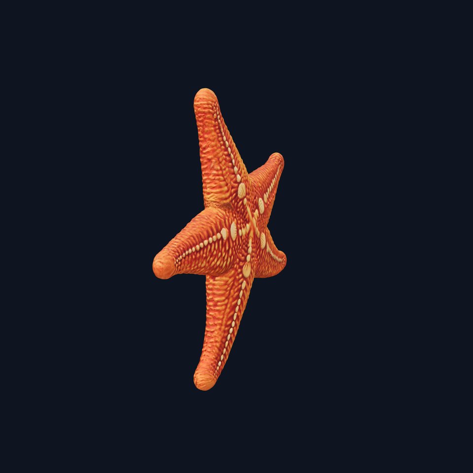 Orange Starfish Marine model pack